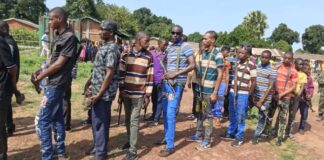 RCA: 69 combattants désarmés à Maloum dans le cadre du DDRR