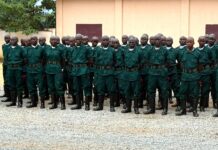 RCA: 566 nouveaux soldats des FACA formés par des instructeurs rwandais