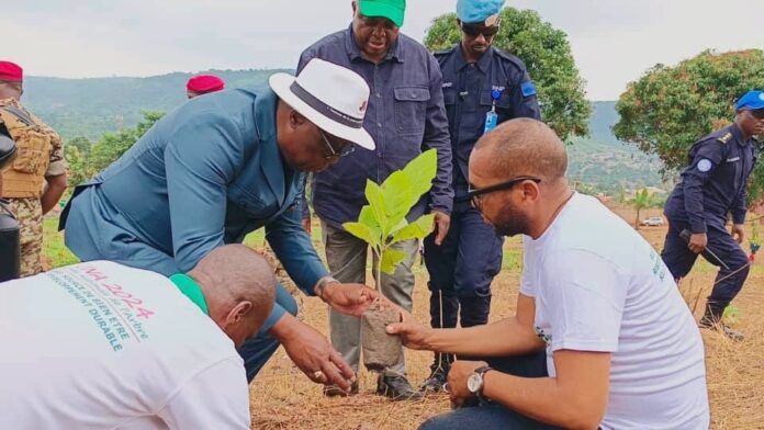 Planting des arbres à la Bellevue à Bangui par le premier ministre Félix Moloua