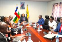 RCA: le comité national de la microfinance se penche sur l’avenir du secteur Comité national de microfinance