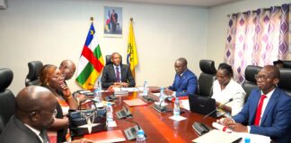 RCA: le comité national de la microfinance se penche sur l’avenir du secteur Comité national de microfinance