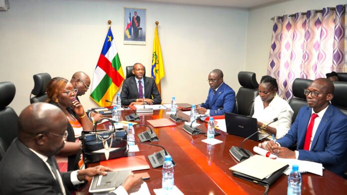 Comité national de microfinance