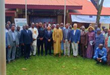 RCA: clôture de l’atelier national sur l’entrepreneuriat agropastoral, des recommandations attendues pour renforcer les PME