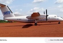 RCA: un avion humanitaire contraint d’atterrir à Bambari après une invasion d’abeilles Un avion humanitaire en Centrafrique