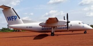 RCA: un avion humanitaire contraint d’atterrir à Bambari après une invasion d’abeilles Un avion humanitaire en Centrafrique