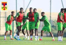 RCA: des Centrafricains confiants quant aux chances des fauves dans la course à la CAN 2027 Les fauves centrafricains de football