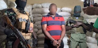 RCA: plus de 26,5 tonnes d’alcool de contrefaçon saisies à Bangui lors d’une opération Opération de saisie des produits prohibés dont les boissons en sachet