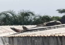 RCA: au quartier Boy rabe à Bangui, un ouvrier perd la vie lors de travaux de réparation sur une toiture